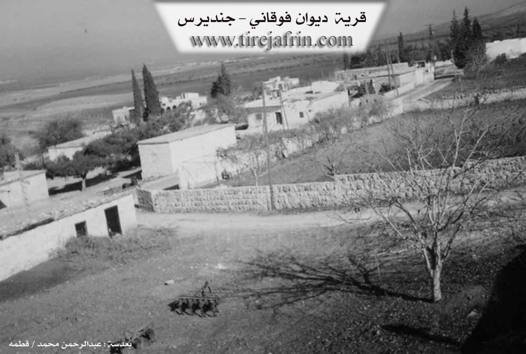 Photo of Dêwê Jorin